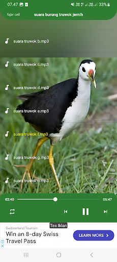 suara burung truwok jernih Screen 2