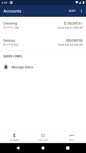CHA TEL FCU Screen 3