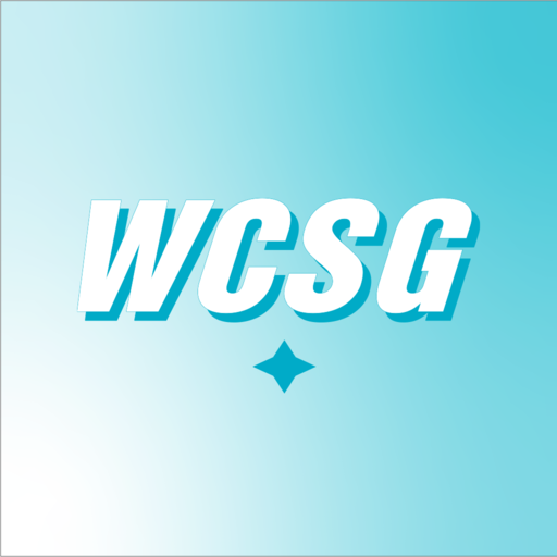 91.3 WCSG logo