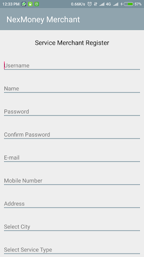 NexMoney Merchant App Screen 3