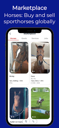 Horse-X, Horse Community App Screen 3