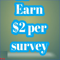 Earn 2 Dol. Per Day Per Survey