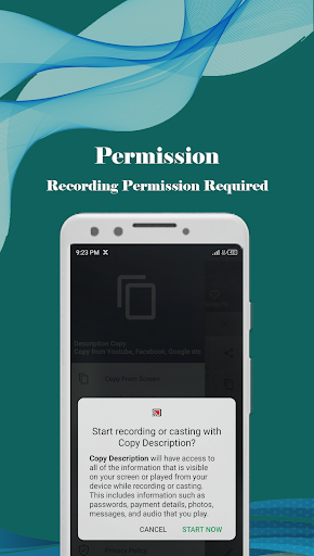 Description Copy Text Copying