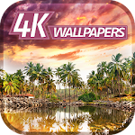 Cover Image of ดาวน์โหลด Your Tropics Wallpapers 4K  APK