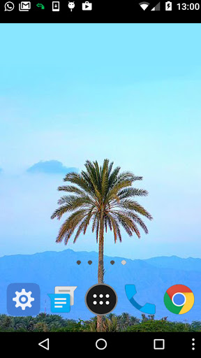 palm tree background Screen 2