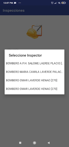 Inspecciones Screen 3