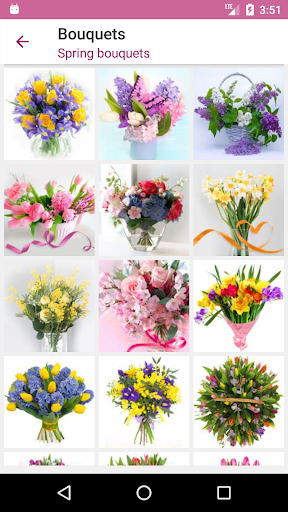 Bouquets Screen 2