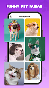 애완동물과 놀아주기: 재미있는 애완동물 앱