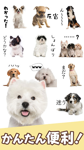 犬スタンプ screenshot