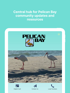 Pelican Bay Foundation