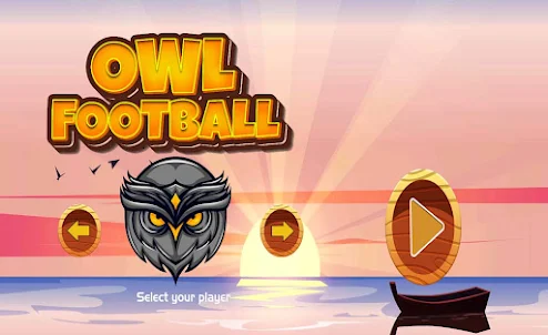 Super Owl Football Fun