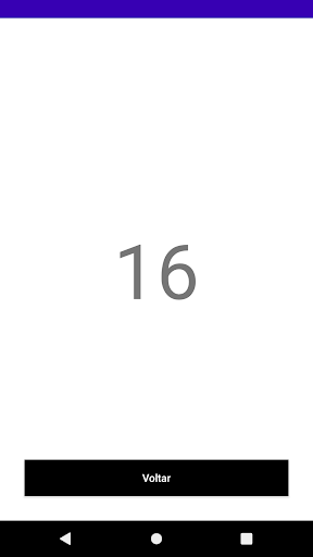 Sorteio de Numeros Screen 3