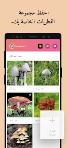 تحميل تطبيق Picture Mushroom – تحديد الفطر مهكره 5