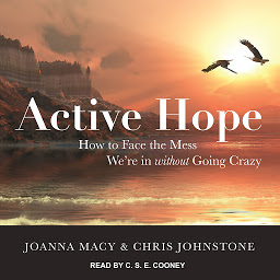 Icon image Active Hope: How to Face the Mess We're in without Going Crazy