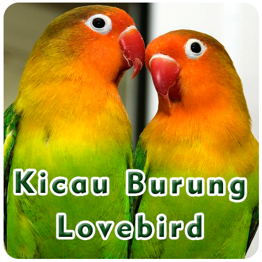 Kicau Burung Lovebird Download on Windows