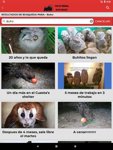 Natural Frank - Frank Cuesta