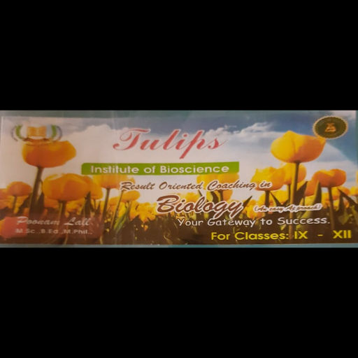 Tulips logo