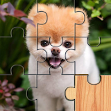 Dogs Puzzle - Kids & Adults. Free jigsaw game! icon