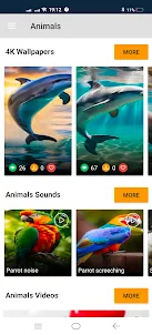 Animals:Ringtones,4K Wallpaper