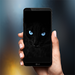 Cover Image of Download Black Wallpapers 2021 1.0 APK