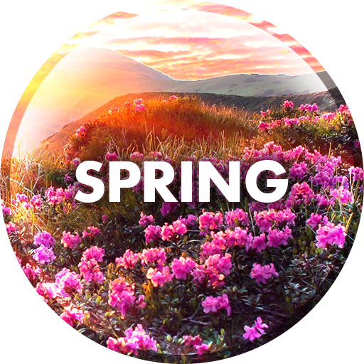 Spring Wallpapers in 4K  Icon
