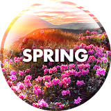 Spring Wallpapers in 4K icon