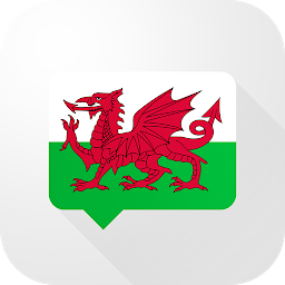 Icon image Welsh Verb Blitz Pro