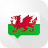 Welsh Verb Blitz Pro1.5.7 (Paid)