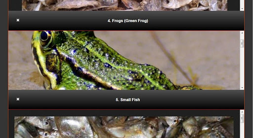 Alternative feed for fish