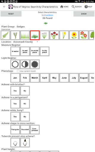 Screenshot of Flora of Virginia