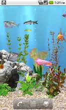 Anipet淡水魚水族館ライブ壁紙 無料版 Google Play のアプリ
