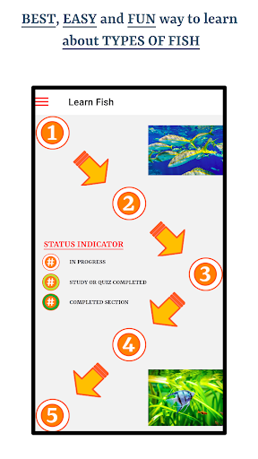 Types Of Fish screenshot 18