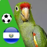 El Perico - Fútbol de Santa Tecla, El Salvador icon