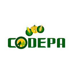 Hình ảnh biểu tượng của Codepa