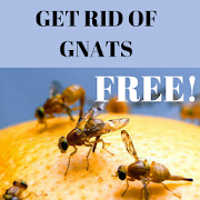Get Rid of Gnats