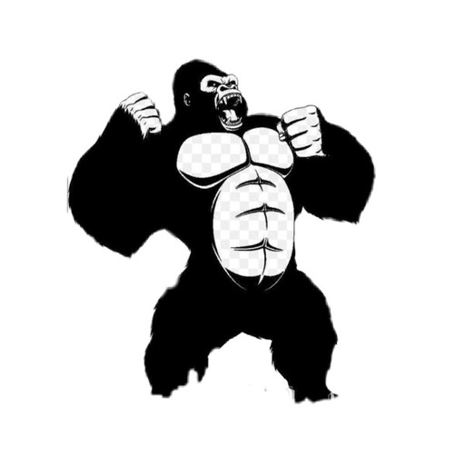 King Kong VPN Internet 4G 5G logo