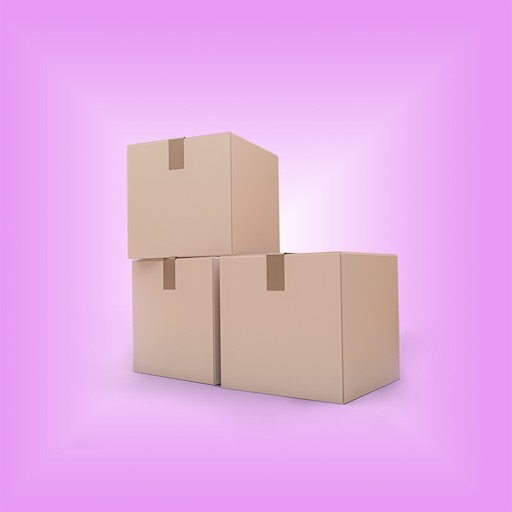 Delivery Check 3D logo