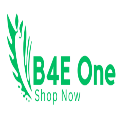 B4E One logo
