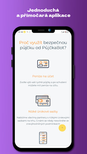 Půjčka Bot Screen 2