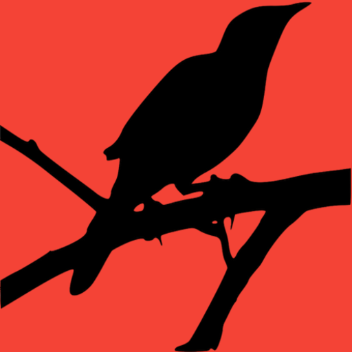 TKAM Review logo