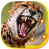 Leopard Wild HD live wallpaper icon