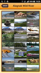Alagnak Wild River(圖8)-速報App