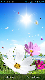 Spring Live Wallpaper For PC installation