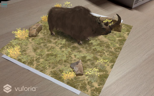 Erica - The Woolly Rhinoceros