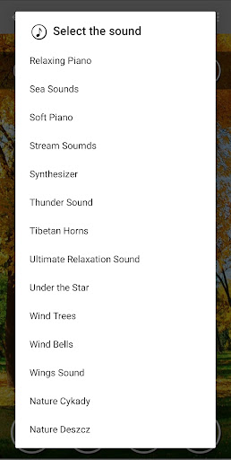Binaural Beat-Meditation Music Screen 2