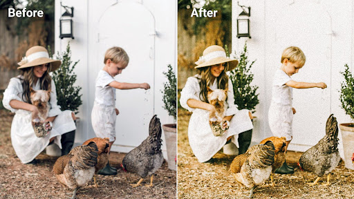 Retro Film Lightroom Presets