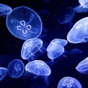 Top 30 Personalization Apps Like Jellyfish Live Wallpaper - Best Alternatives