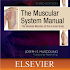 The Muscular System Manual 11.3.577