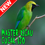 Master Kicau Cucak Ijo MP3 icon