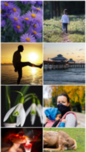 استرجاع الصور 2021